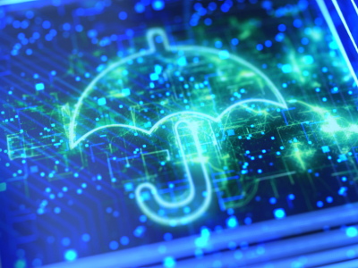 Mastering disaster preparedness: Lessons from the frontlines of risk ...