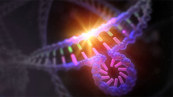 Microsatellite Instability Explained Article: Understanding Microsatellite Instability Testing: From ...